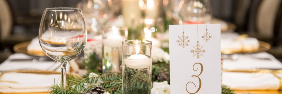 Vega Christmas Party